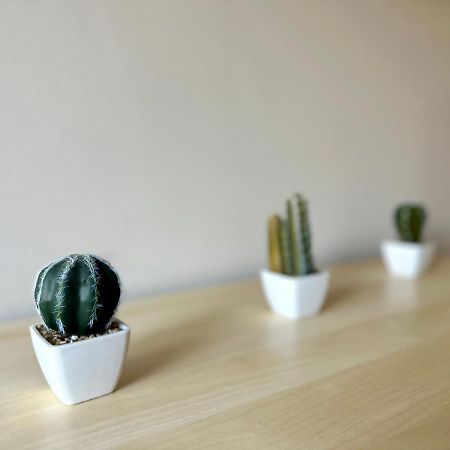 Mmrent Desert Room グダニスク エクステリア 写真